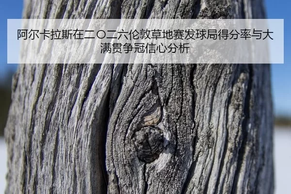 a-er-ka-la-si-zai-er-ling-er-liu-lun-dun-cao-di-sai-fa-qiu-ju-de-fen-lv-yu-da-man-guan-zheng-guan-xin-xin-fen-xi-2-638.jpg